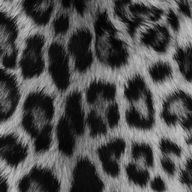 :*Rui*:さんのアイコン画像