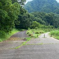 こしょうさんのアイコン画像