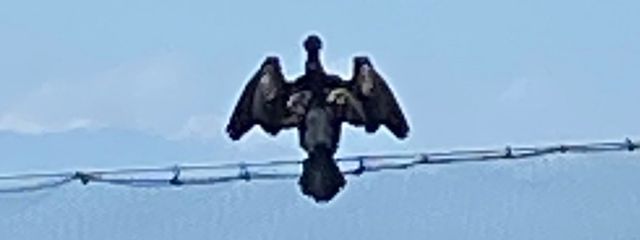 学生さんの壁紙画像