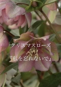 もう一度……○○の主役は我々だに……