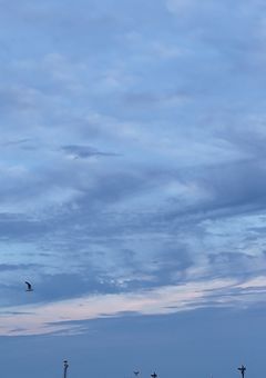 関係者募集中の主がここにいますンゴ