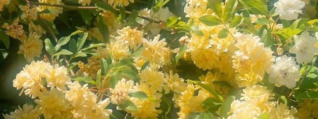 ㍕✎️ꪑさんの壁紙画像