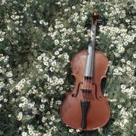 ㍕✎️ꪑさんのアイコン画像