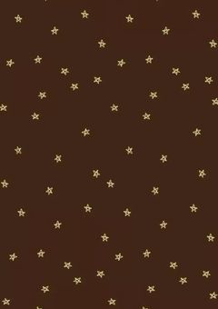 星宵*