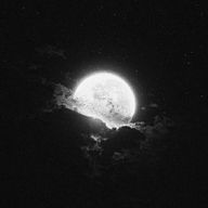 夜雨怜/低浮上☁さんのアイコン画像