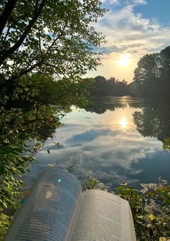 d!×honeyworks 短 編 集 .