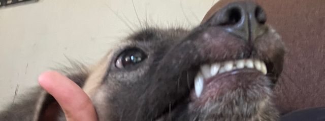 a c .さんの壁紙画像