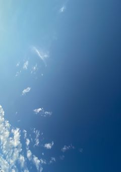 日記(  °‪꒳​° )