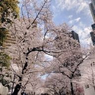 🌹🌹さんのアイコン画像