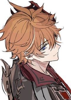 　彼氏、ファデュイでした。