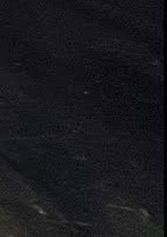 先生メンタル最強だよ？