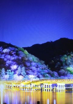 男性からも女性からも囲まれているのだが？