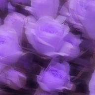 うい🍬🍧🧁さんのアイコン画像