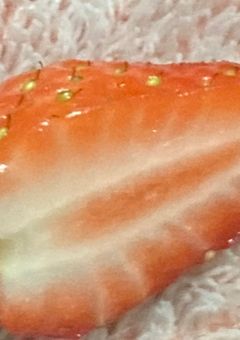 stxxx+事務所 腐短編集