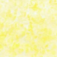 もちさんのアイコン画像