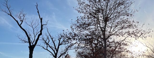 うーさんの壁紙画像