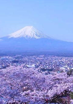 《参加型》今日、好きになりました。<STPR編>