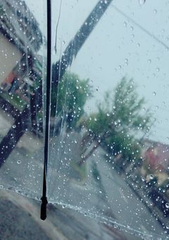 Rain