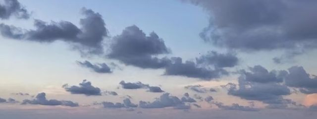 ツナ໒꒱さんの壁紙画像