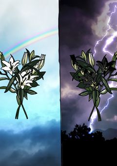 白百合は彼女達を救いたい