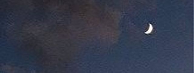  🍨さんの壁紙画像