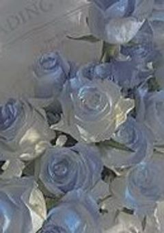 好 き に は な ら な い