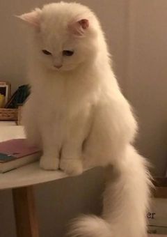 色々な財閥の人々達