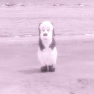 るどｻﾝ。さんのアイコン画像