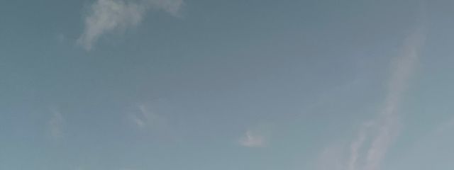 不憫さんの壁紙画像