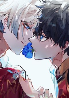 喧嘩するほど仲がいいと言うけれど。