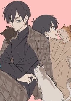 bll 潔右固定 -R18-