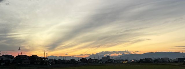 実希さんの壁紙画像