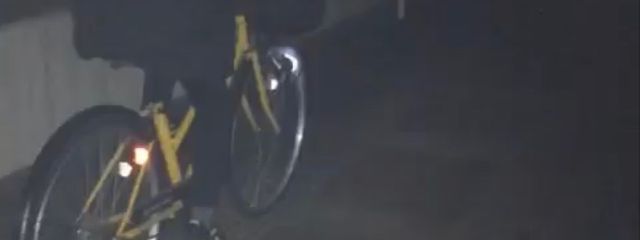 ふわ🫧💫さんの壁紙画像