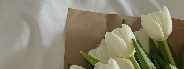 きぬ🤍さんの壁紙画像