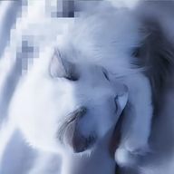 やわまゆ ‎(🫵🏻 ᴖ ̫ ᴖ)♩さんのアイコン画像