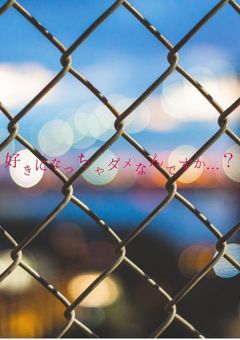 好きになっちゃダメなんですか…?