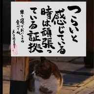 はーるさんのアイコン画像