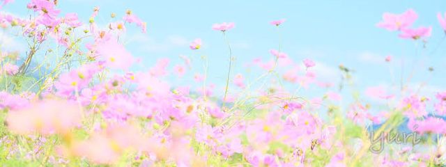織姫💫さんの壁紙画像
