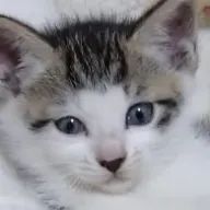 さーもん💛🍤さんのアイコン画像