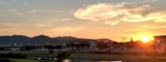 ブタPONさんの壁紙画像