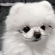 愛 彌  @BLさんのアイコン画像