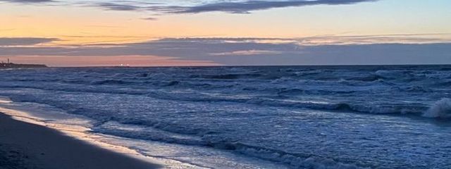 さらさんの壁紙画像