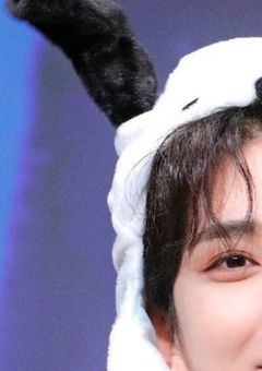 うさぎさんの取り合い