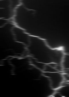 私は殺ってない