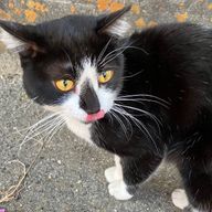 塩田さんのアイコン画像