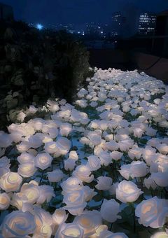 ヒロインがヒロインじゃないんですよ。