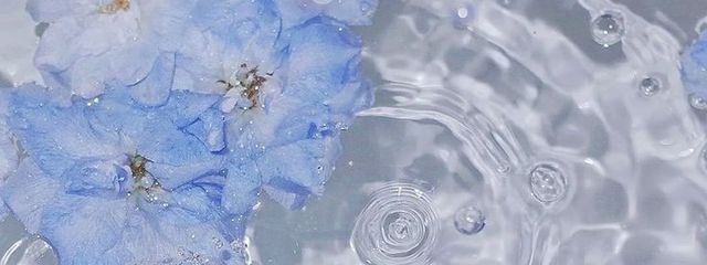 しらたまろ。さんの壁紙画像