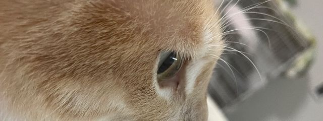 あいうー.　さんの壁紙画像