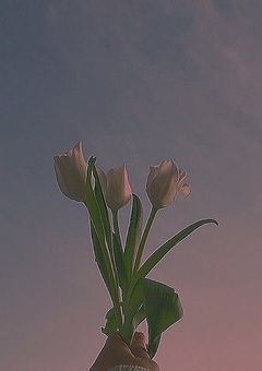 唯一無二の存在です