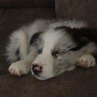 babyhnさんのアイコン画像